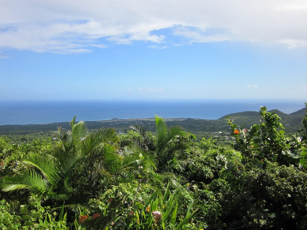 View from Peak Heaven, Nevis