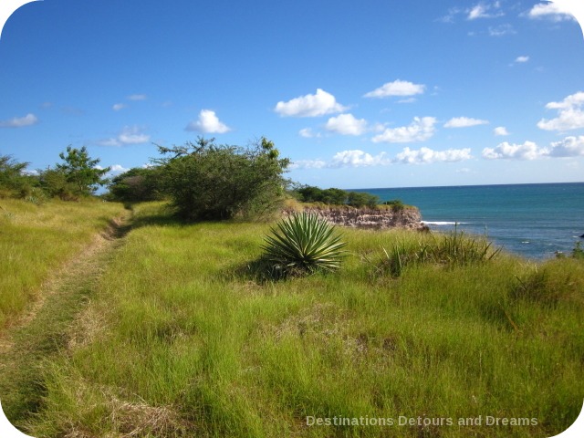 Nevis coastal walk