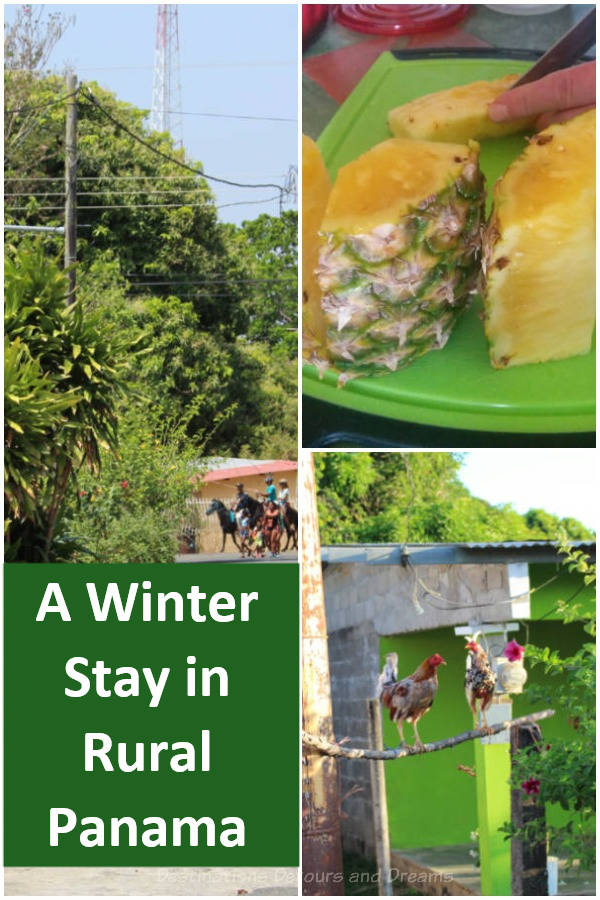 Snowbirds land in rural Panama. A Canadian senior couple begins a winter stay in Pedasi, Panama. #Panama #snowbird #Pedasi