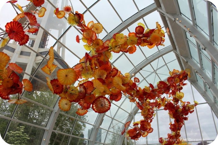 Magical Beauty at Chihuly Garden and Glass