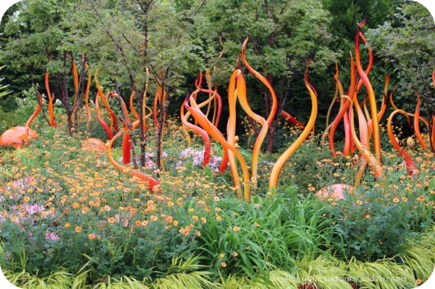 Rooftop garden at Chihuly Garden and Glass