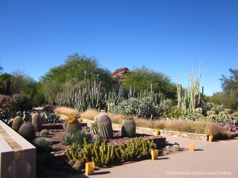 Path through the Desert Botanical Garden in Phoenix, Arizona