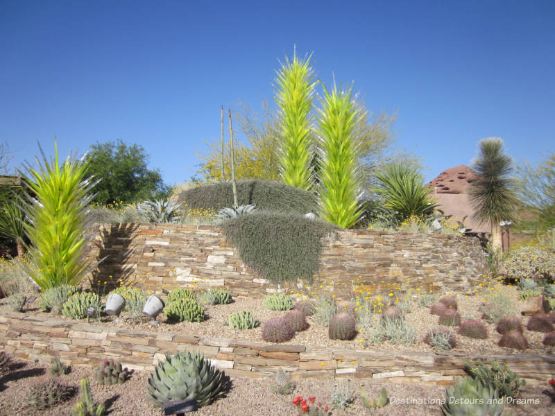 Phoenix Desert Botanical Garden