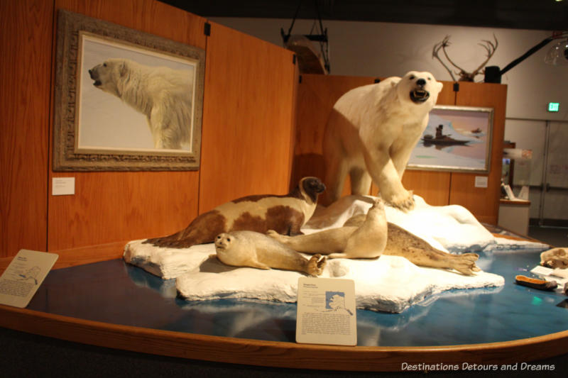 Coastal mammals at Museum of the North