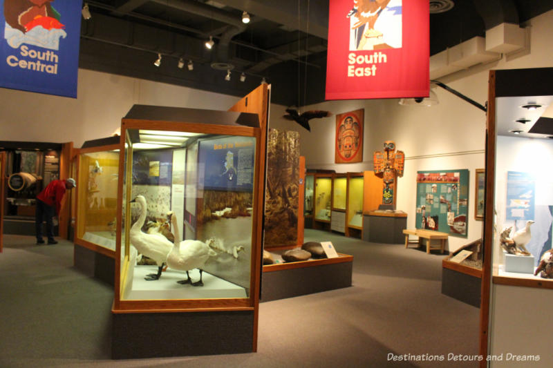 Alaska Gallery at Museum of the North in Fairbanks, Alaska
