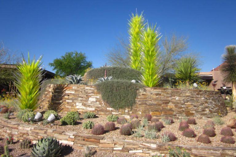 Phoenix Desert Botanical Garden