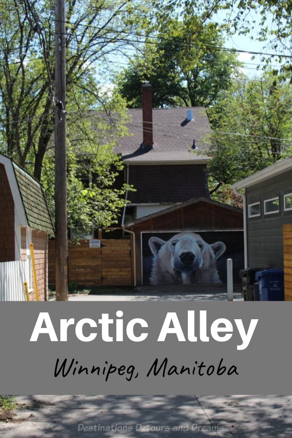 Arctic Alley. Murals in a back lane. An artist in Winnipeg, Manitoba, Canada transformed her back lane with Arctic wildlife paintings. #Winnipeg #Manitoba #Canada #art #murals #streetart