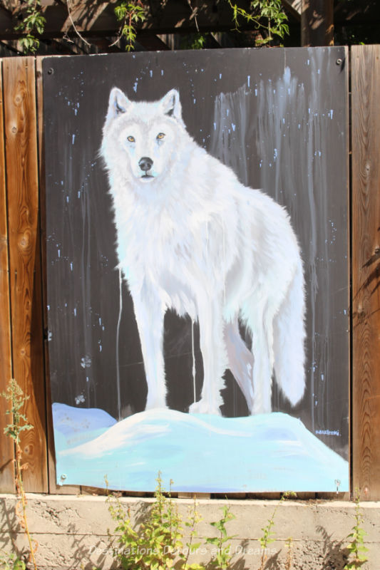 Painting of a white wolf on fence in Arctic Alley, Winnipeg