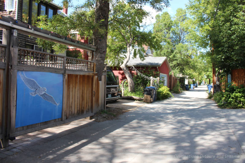 Back lane with paintings on garage doors and fences