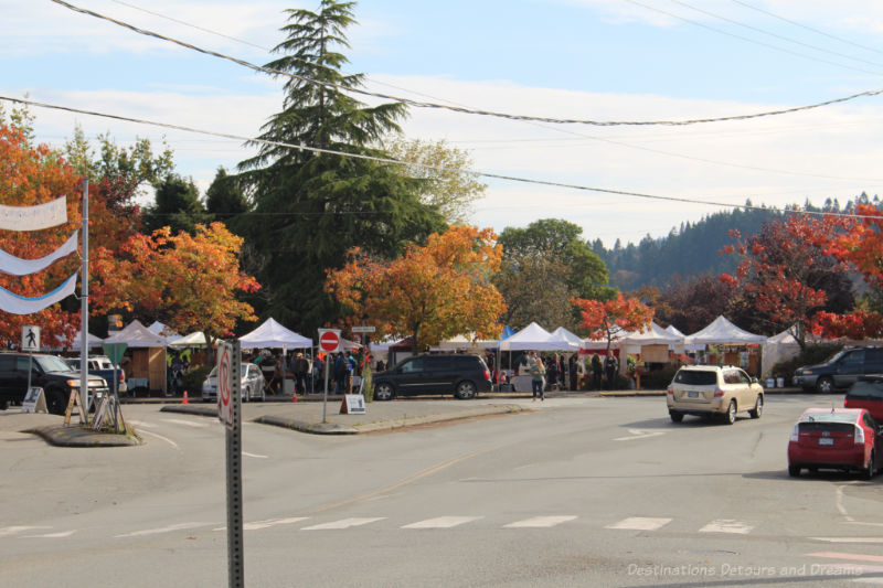 Tents set in park for Salt Spring Island 