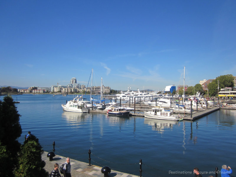 Marina lined with boats in Victoria Inner Harbour