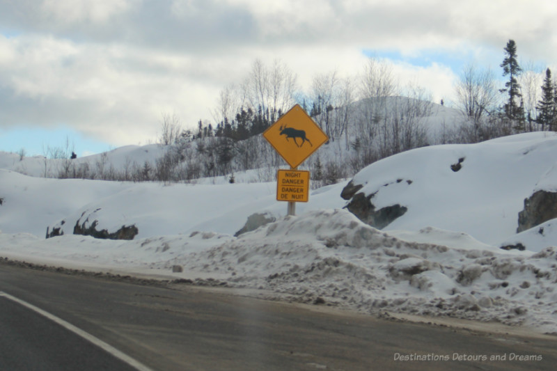 Moose Night Danger sign along Canadian highway