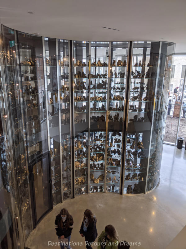 Three story Qaumajuq visible vault with undulating glass walls and glass shelves displaying Inuit carvings