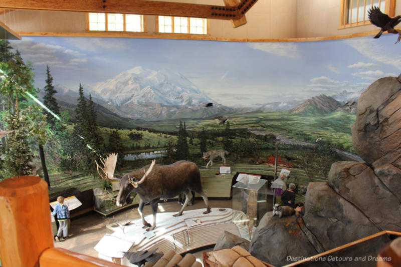 Diorama of wildlife inside Denali Visitor Center