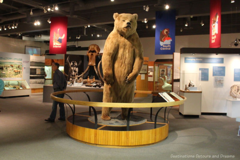 Large stuffed bear at the entrance to a museum gallery at Museum of the North