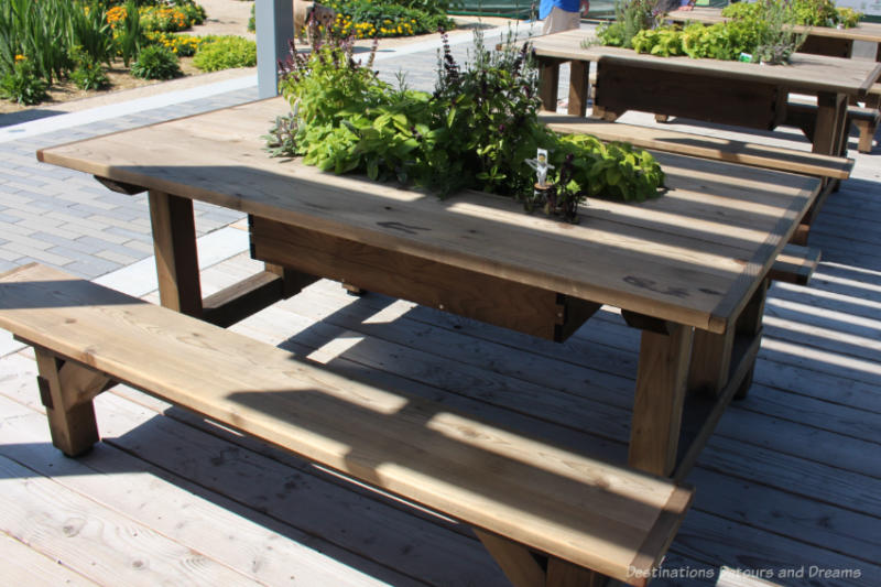 Wooden picnic table with a herb planted in the centre of the table