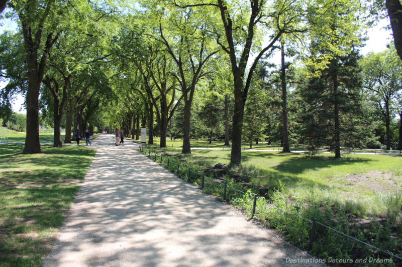 Walkway through mature trees and green area at the Gardens At The Leaf in Winnipeg's Assiniboine Park