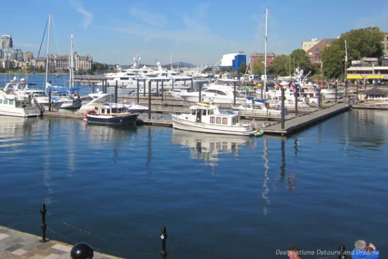 Boats at the marina in Victoria Inner Harbour