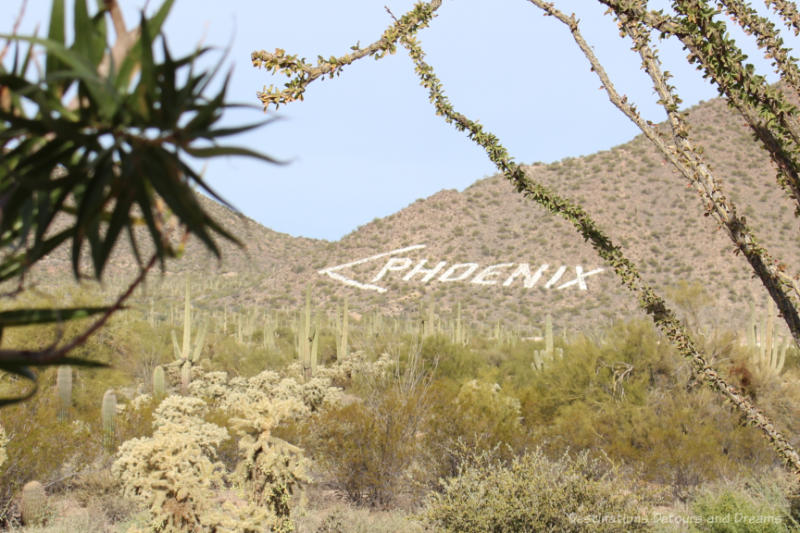 Desert scene with painted sign printing the word Phoenix in white letters and an arrow pointing; ten things to do in Phoenix Arizona