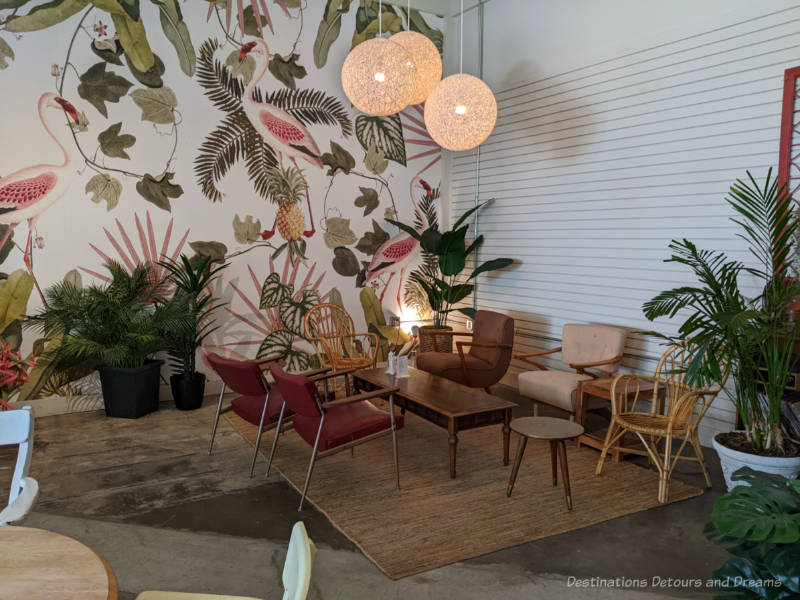 Sixties ere armchairs around a rectangular coffee table form a seating area at Kilter Brewing with assorted potted plants and a large greenery mural on the wall