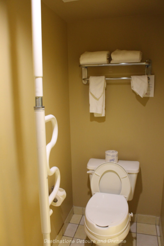 Toilet with seat riser and floor to ceiling grab bar